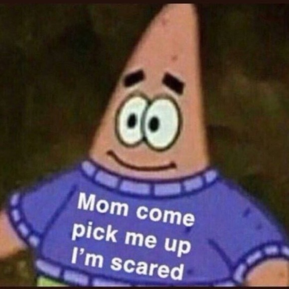 Meet your Posher, Tyler - Picture 1 of 1